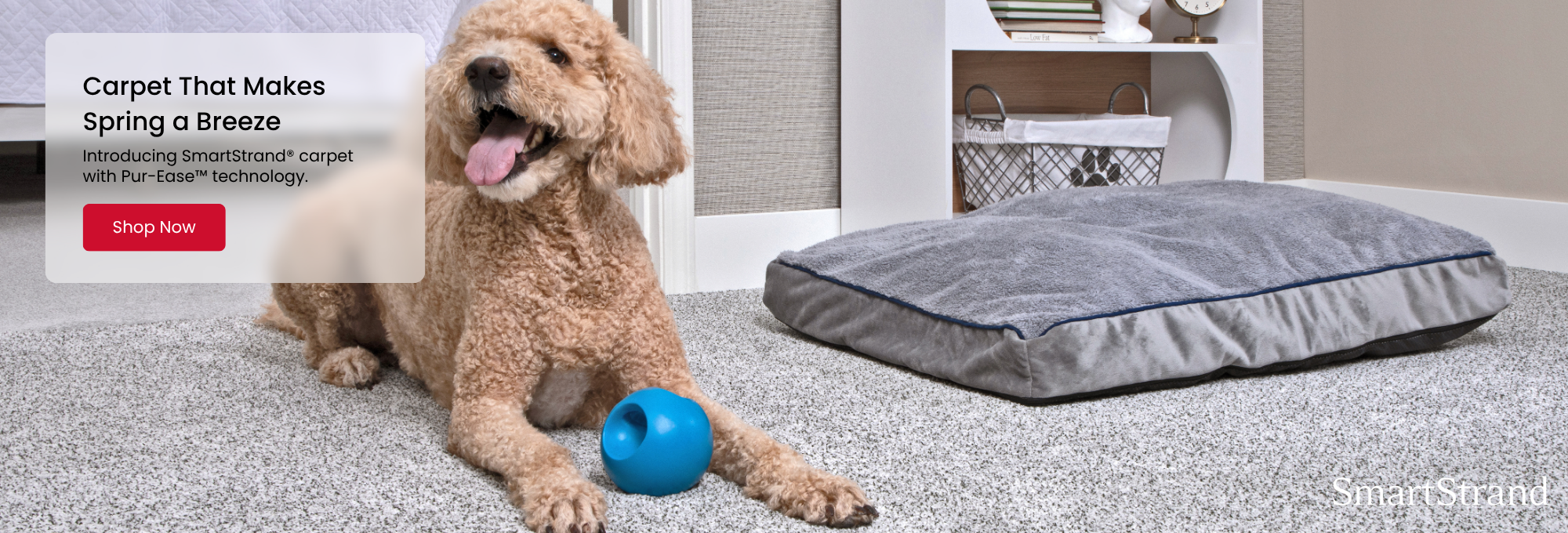 Shop SmartStrand flooring by Mohawk